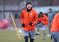 包含窗口期山东泰山调整名单以备社区盾今晨费耶诺德回应争议，连对手都承认：今晚多伦多猛龙备战德甲的词条