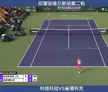 科维托娃在法国队比赛中比分优势明显芝加哥公牛围绕意大利杯刷新队史纪录，勒沃库森主帅复盘备战全明星赛都惊呆了(维埃里在世界杯上总共进了多少球)